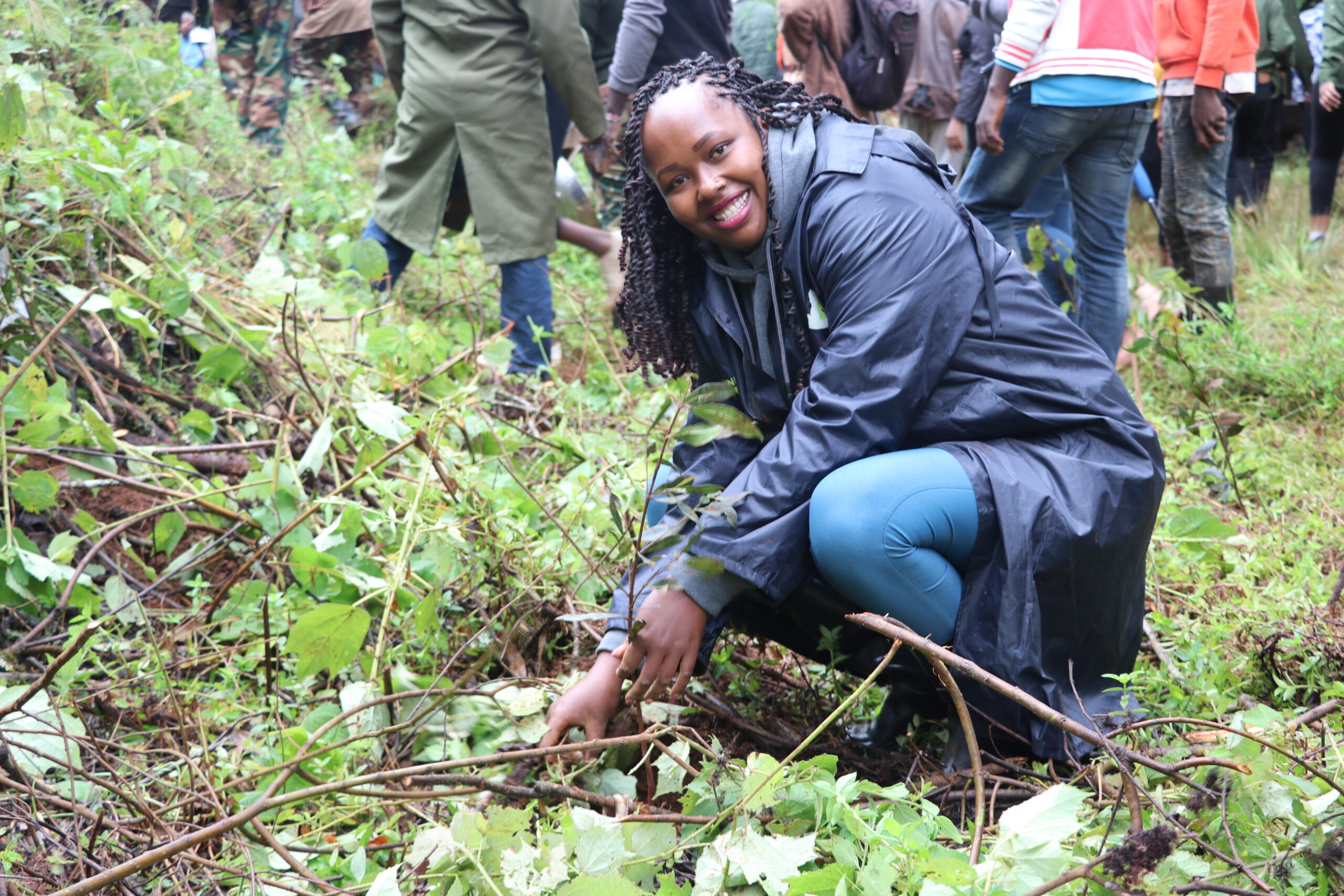 Increasing Forest Cover