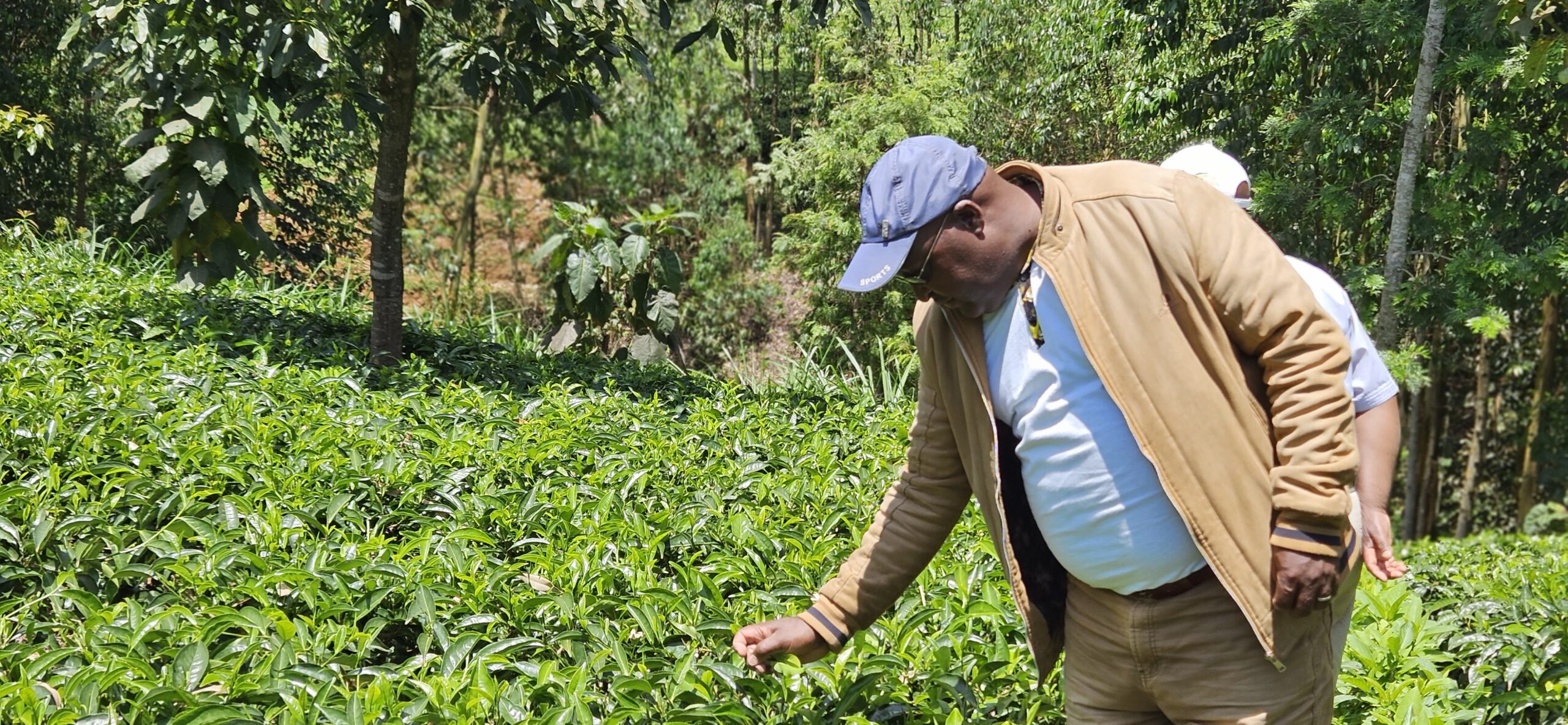 Sustainable Crop Production